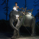 Too Lei, poses for a portrait on his elephant Ba Lei Shu at a logging camp in Bago Division, Myanmar.